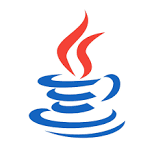 Junior Java Developer